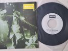 OASIS - Don't Look Back In Anger - 1996 original Belgium Near Mint 7