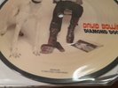 David Bowie Vinyl 7 inch Single Picture Disc  Diamond Dogs
