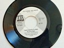 Thirteenth Floor Elevators DJ Copy 45 