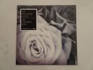 SEALED MINT  THE MOUNTAIN GOATS ALL ETERNALS DECK LP  1ST CLEAR VINYL