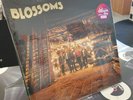 NATIONAL ALBUM DAY: BLOSSOMS - SELF-TITLED DEBUT LTD ORANGE VINYL LP MINT/SEALED