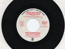 The Planatones  Kenny Vance  Rock And Roll is Here To  Stay  Promo 45