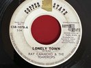Ray Camacho Lonely Town b/w I Told You So Copper State 45