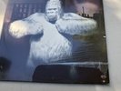 ALBINO GORILLA Detroit Sounds 1970 Detroit 1984 KSBS 2028 Gatefold