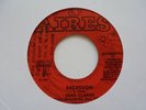 JOHN CLARKE Recession AIRES Killer  Roots Reggae 7