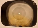 Elvis Presley - Little Egypt  X-RAY SKULL BONES RECORDS USSR 66
