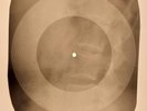 Shirelles - Stop the Music X-RAY BONES RECORDS USSR 121
