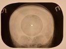 Beatles - Devil In Her Heart X-RAY SKULL BONES RECORDS USSR 67