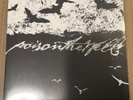 POISON THE WELL TEAR FROM THE RED BURNT YELLOW SPLIT VINYL LP /1000 IN HAND
