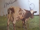 Rare Signed Pink Floyd Atom Heart Mother 1970 UK LP 1st Pressing Vinyl LP