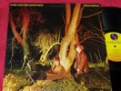 Echo And The Bunnymen - Crocodiles  - 1980 US 1st Press LP RARE