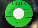 Unknown Ohio Psych Garage 45/ Velvet 