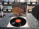 WARM DUST: Same, BASF, 20 29055-7, ORG GER 1st PRESS, 12