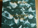 KATE BUSH THE SINGLE FILE 13X7