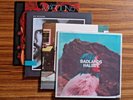 Pop Vinyl Record Lot: Halsey, Oh Wonder, Maroon 5, Mumford and Sons
