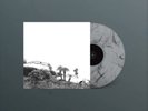 TIMBER TIMBRE HOT DREAMS (SMOKE MARBLE) (Vinyl)