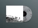 Timber Timbre - Hot Dreams [VINYL]