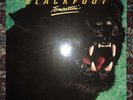 Blackfoot “Tomcattin” Vinyl LP SIGNED   Play Tested **