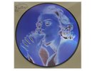 Madonna - Erotica Limited Edition Picture Disc Vinyl Single (Toe Sucking)