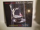 Panic At The Disco All My Friends We're Glorious 2 LP Vinyl Death of a Bachelor
