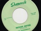 THE THUNDERBOLTS motown motion*maria 1967 US SHAMROCK GARAGE ORGAN ROCK POP 45