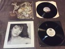 Kate Bush Vinyl Bundle, The Whole Story, Never Forever