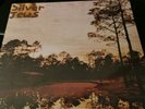 Silver Jews Starlite Walker (US IMPORT) VINYL LP NEW