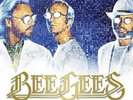 Bee Gees - Timeless: The All-Time Greatest Hits - LP