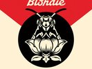 Blondie - Pollinator - LP