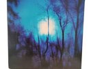 FLYING SAUCER ATTACK-FLYING SAUCER ATTACK:FURTHER 1995 RECORD DC69 w/ Incert EX