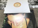 Around the Fur by Deftones Collectors Piece Lp Metal