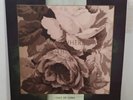 Cult Of Luna - Somewhere Along The Highway, Gatefold 12