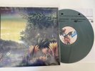 Fleetwood Mac - Tango In The Night - Green Vinyl LP Reissue Limited