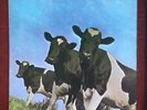 PINK FLOYD - ATOM HEART MOTHER - early press VINYL LP, HARVEST A4 / B6 Near Mint