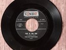 THE ISLEY BROTHERS This Is The End/Jealous 45 RECORD  Cindy 3009 VG+ FREE SHIP