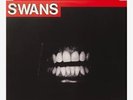 Swans - Filth LP Red Vinyl Newbury Comics New /500