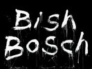 Scott Walker - Bish Bosch 2xLP Vinyl + CD EX 4AD  new 2012