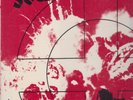 social unrest rat in a maze lp