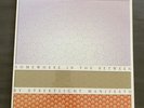 Streetlight Manifesto Somewhere In The Between LP 12” Vinyl Record New Sealed