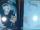 Siouxsie and the Banshees Peepshow LP vinyl