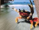 The Prodigy - Fat Of The Land Vinyl