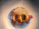 JARRE, Jean Michel - Oxygene - Vinyl (LP)