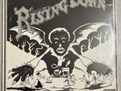 The Roots - Rising Down LP