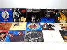 Vinyl 12