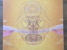 Devendra Banhart - What Will We Be - Double LP 180gm (with bonus track)