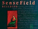 Sense Field - Building LP vinyl NEW