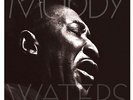Waters,Muddy Mannish Boy:Best of (Vinyl)