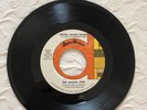 THE MISSING LYNX , rock GARAGE PUNK  60'S OHIO