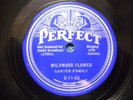Carter Family 78 Perfect 5-11-65 E+ Cond Wildwood Flower/Little Darling Pal Of M
