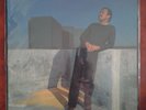 Al Johnson ‎– Back For More / LP PROMO US JC 36266
